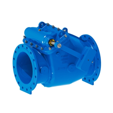 Swing Check Valve